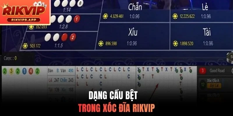 Dạng cầu bệt trong xóc đĩa Rikvip